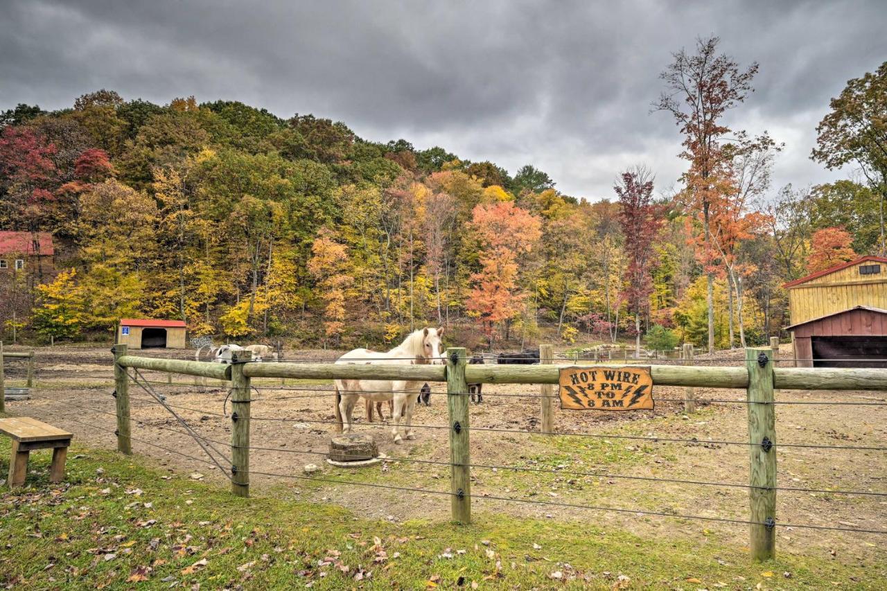 Rustic Clint Eastwood Ranch Apt By Raystown Lake Huntingdon Exterior photo