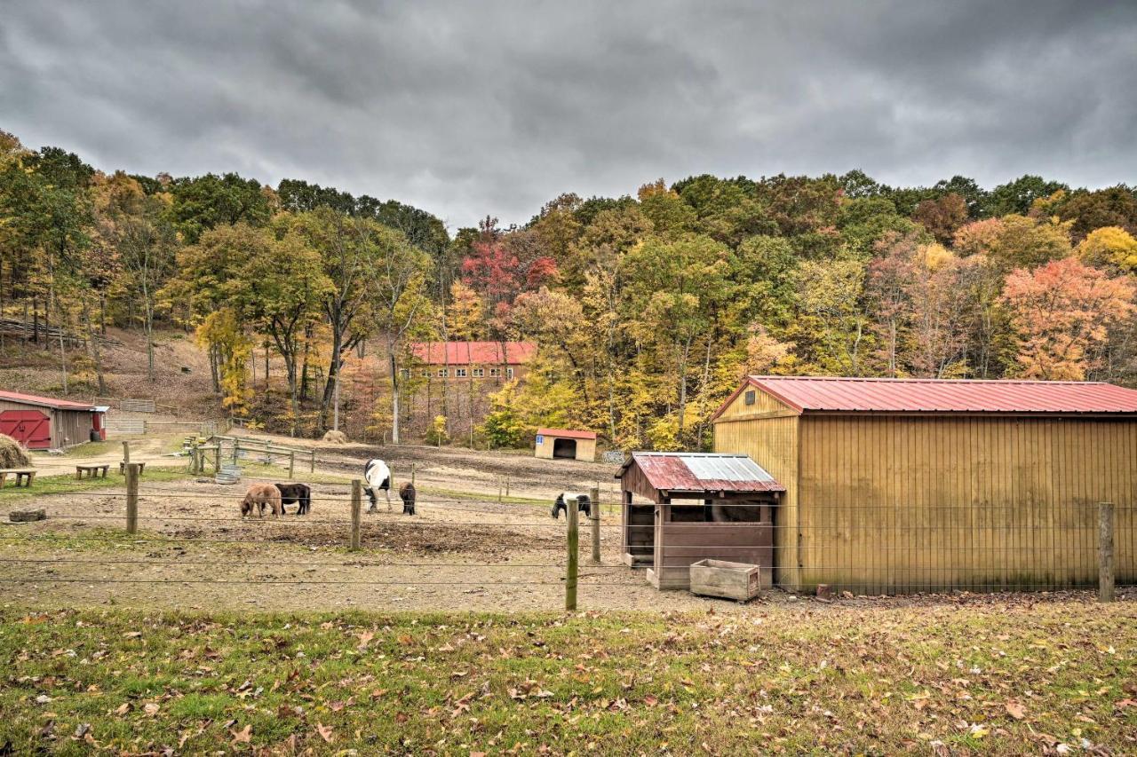 Rustic Clint Eastwood Ranch Apt By Raystown Lake Huntingdon Exterior photo